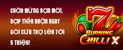 Thưởng Chào Mừng 100% Nạp Đầu promotion banner